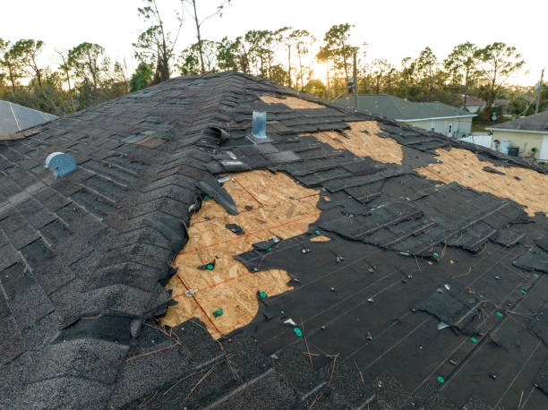 Best Roof Ventilation Installation  in Keaau, HI