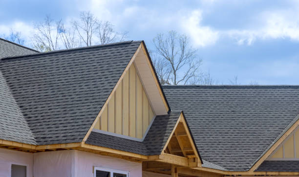 Best Roof Maintenance and Cleaning  in Keaau, HI